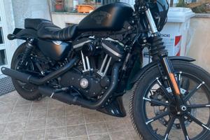 Halrey Davidson iron 883 Xl883N 2016