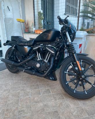 Halrey Davidson iron 883 Xl883N 2016