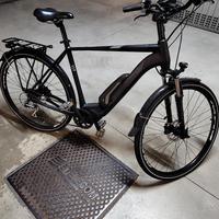 e-bike Montana