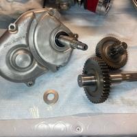 Carter e rapporti minarelli