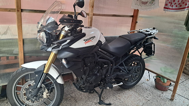 Triumph tiger 25000 km