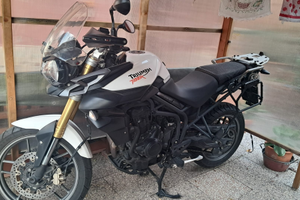 Triumph tiger 25000 km