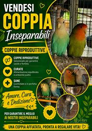 Coppia inseparabili