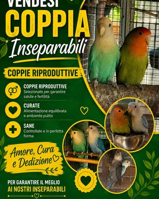 Coppia inseparabili