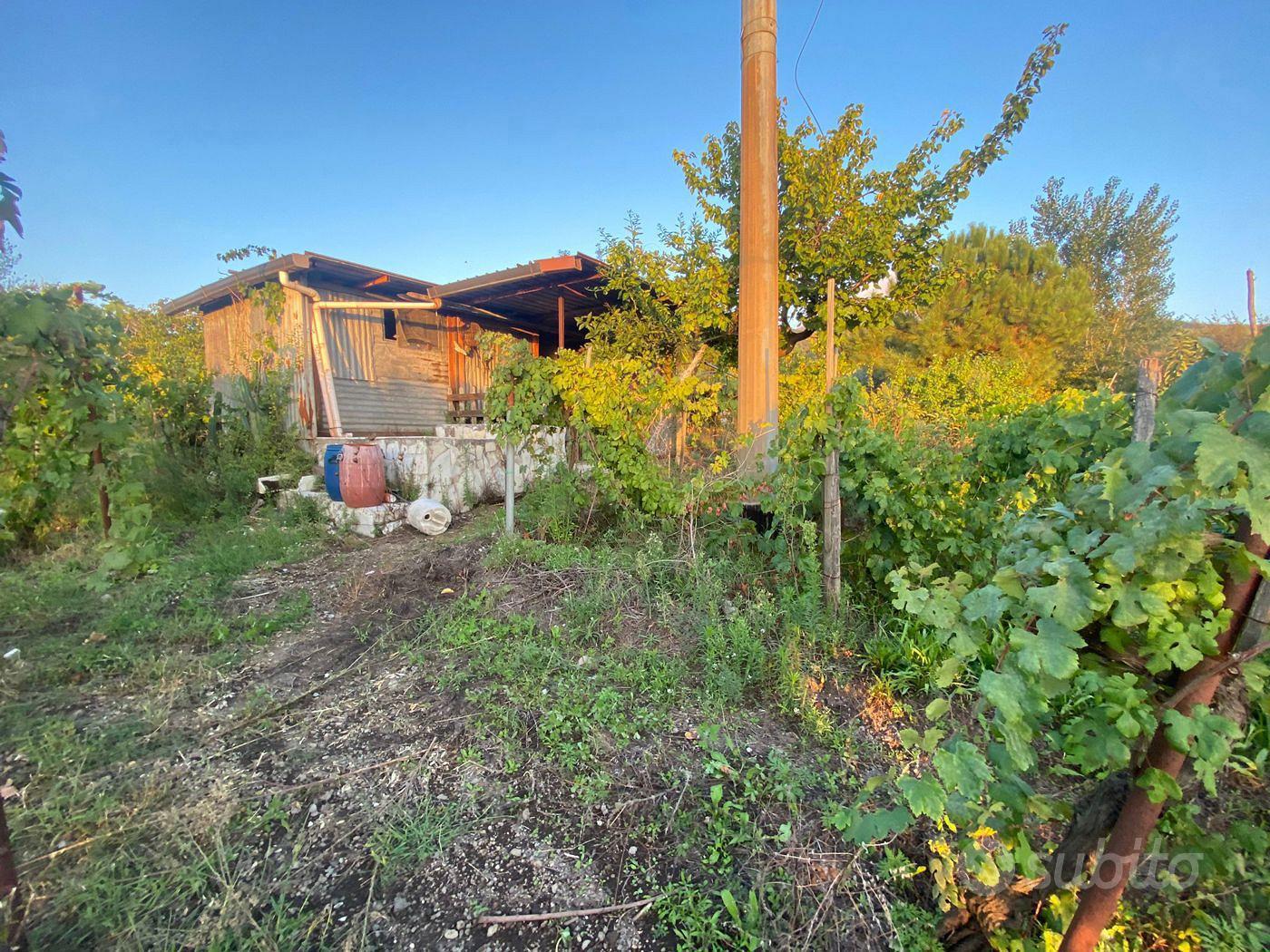 Terreno Agricolo San Sebastiano al Vesuvio - Vista 4