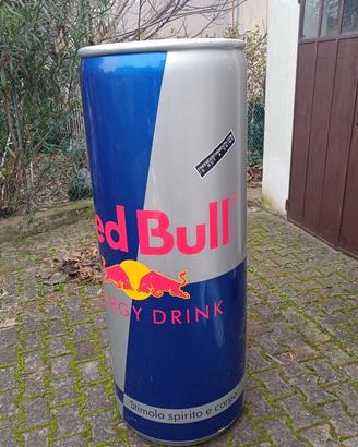 Lattina Red Bull