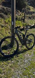 Mtb Focus tron2