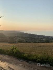 Terreno agricolo