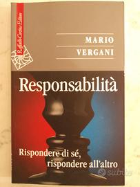 Mario Vergani - Responsabilità