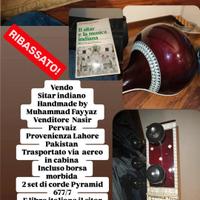 sitar indiano nuovo 