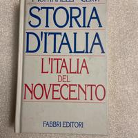 Libro: L’Italia del novecento