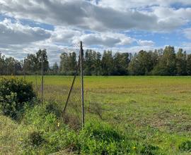 Terreno Agricolo Uta 15500mq