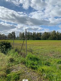 Terreno Agricolo Uta 15500mq