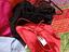 Immagine 5