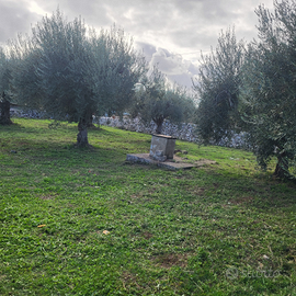 Terreno agricolo a Modica