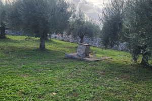 Terreno agricolo a Modica