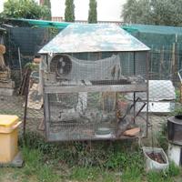 Voliera per uccelli o scoiattoli