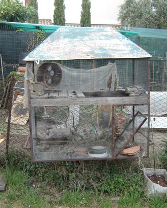 Voliera per uccelli o scoiattoli