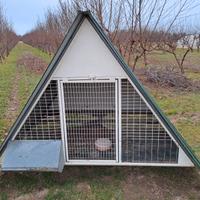 GABBIA POLLAIO TABEK