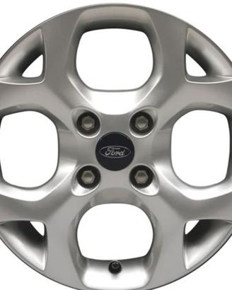 Cerchi ford fiesta