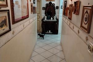 Appartamento secondo Piano Con ascensore