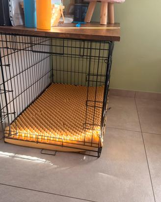 Box animali
