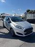 ford-fiesta-1-0-80cv-5-porte-black-white-edition