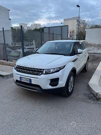 Land Rover Range Evoque 2.2 TD4 5p. Pure