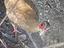 Immagine 6
