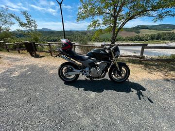 Hornet 600
