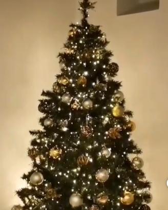 Albero di Natale “Stella Alpina”
