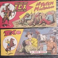 Striscia Tex anastatica 