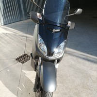 Xmax 250 2009