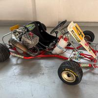 Go kart AllKart Tm