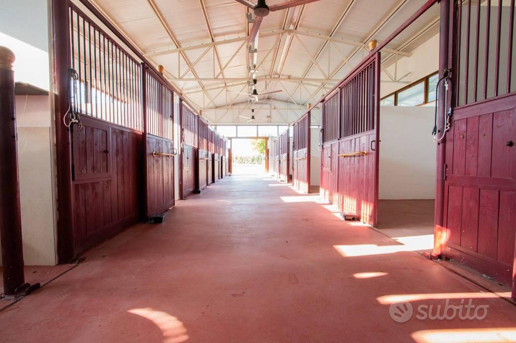 Terreno di 27000 m² a Bussolengo - Vista 3