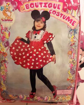 Abiti di carnevale