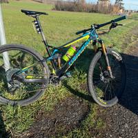 Torpado Matador L + Rulli Elite