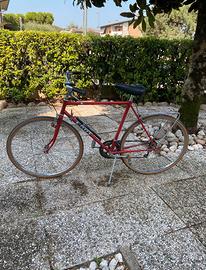 Bicicletta da uomo