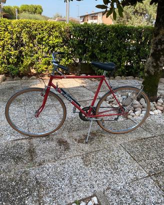 Bicicletta da uomo