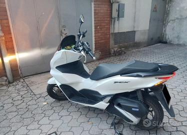 Honda pcx 125 bianco
