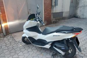 Honda pcx 125 bianco