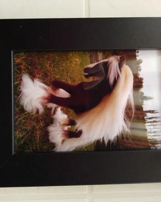 Foto con portaritratto S/2