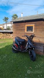 stalker 100 testa rossa 