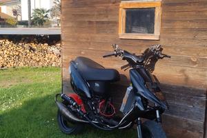 stalker 100 testa rossa 