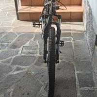Bottecchia 107