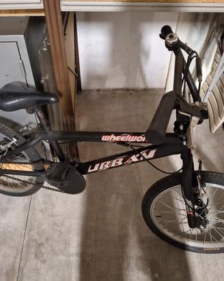 Bici BMX