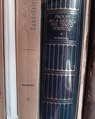 proust meridiani