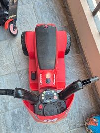 Moto Ducati Mini Evo Bambini