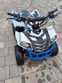 Quad COMMANDER 110cc con retromarcia usato poco