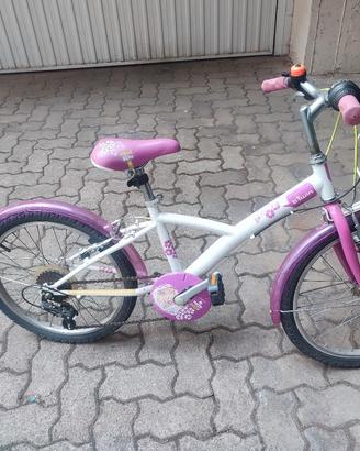 bicicletta 20